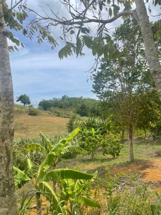 Seventh image of Hibermia in Devon, Manchester, Jamaica - property is For Sale