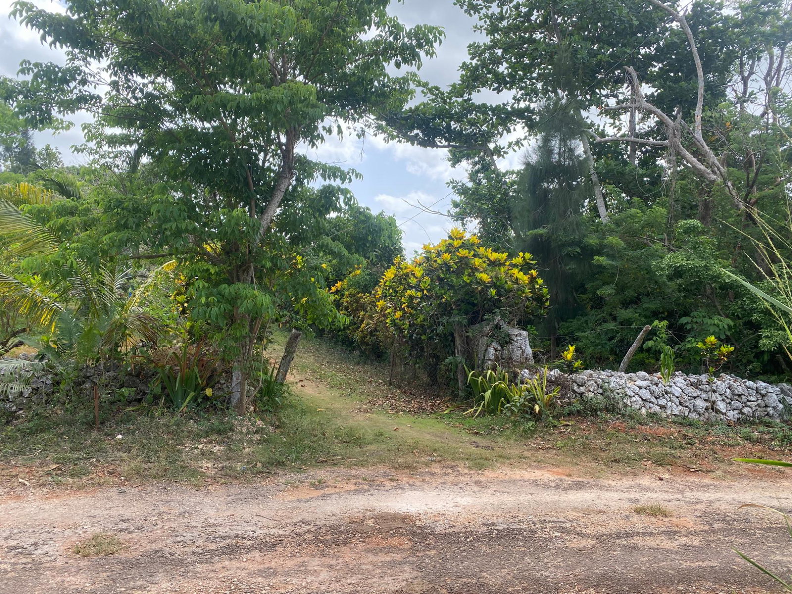 First image of Part of Upper Warminster in Upper Warminister, St. Elizabeth, Jamaica - property is For Sale