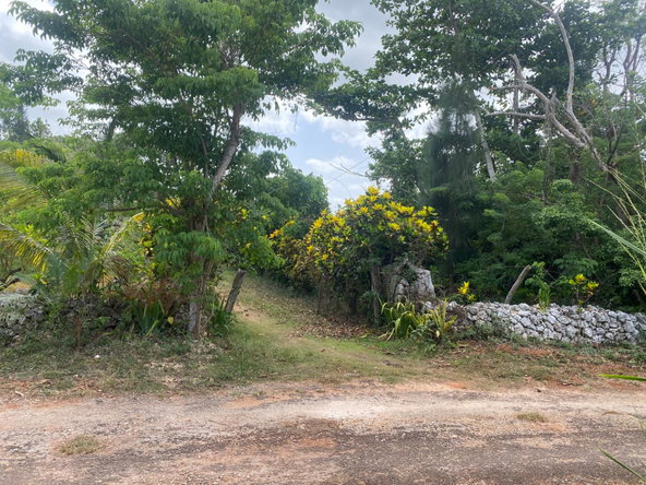 First image of Part of Upper Warminster in Upper Warminister, St. Elizabeth, Jamaica - property is For Sale