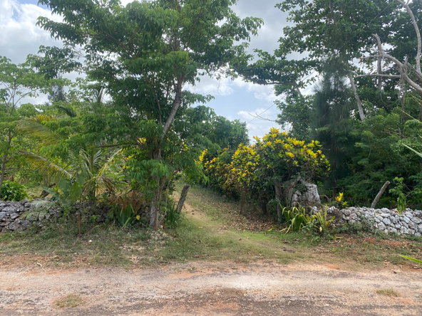 Second image of Part of Upper Warminster in Upper Warminister, St. Elizabeth, Jamaica - property is For Sale