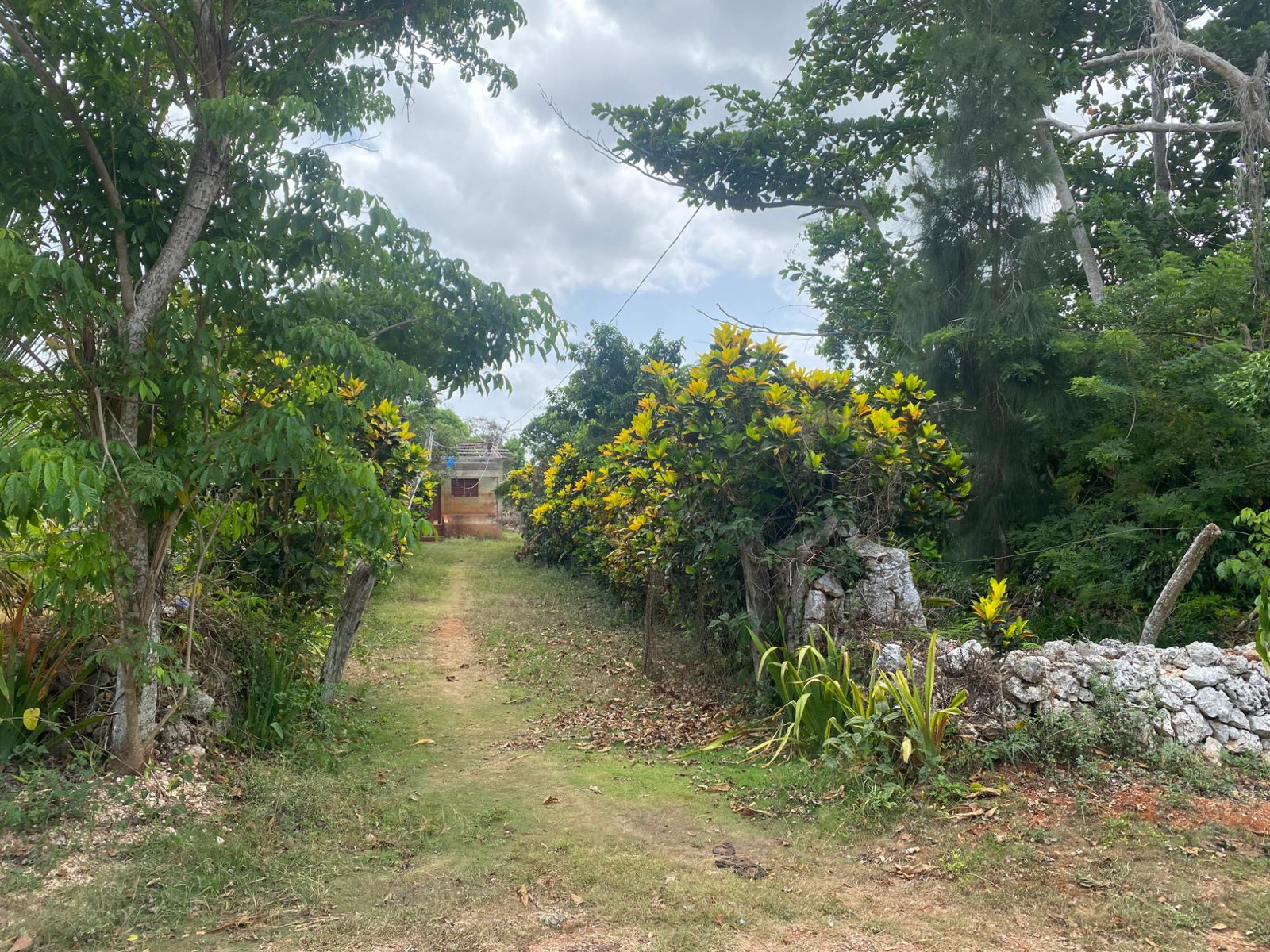 Third image of Part of Upper Warminster in Upper Warminister, St. Elizabeth, Jamaica - property is For Sale