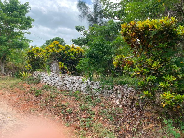 Fourth image of Part of Upper Warminster in Upper Warminister, St. Elizabeth, Jamaica - property is For Sale