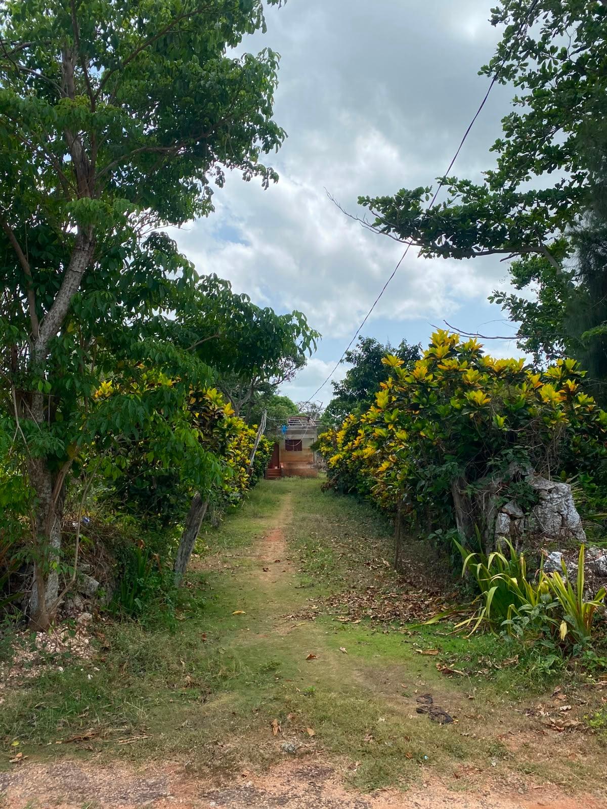 Fifth image of Part of Upper Warminster in Upper Warminister, St. Elizabeth, Jamaica - property is For Sale