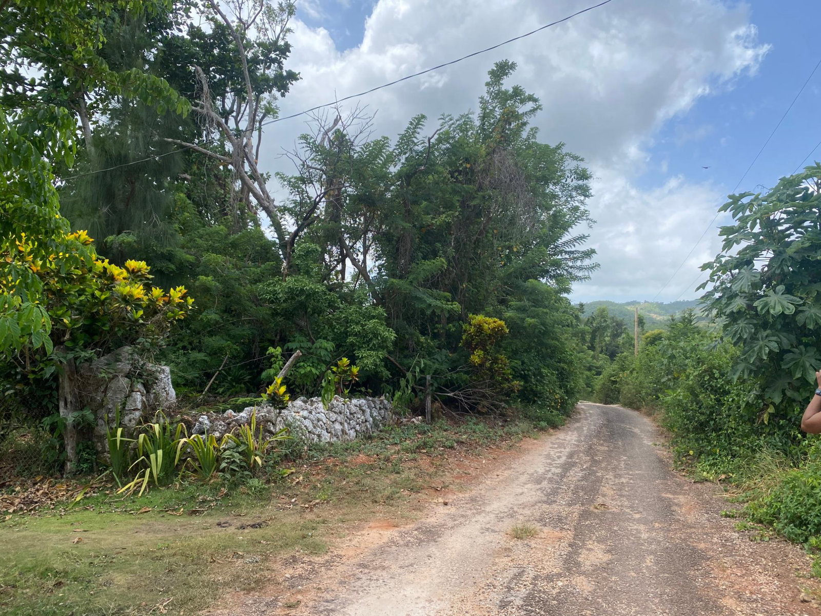 Sixth image of Part of Upper Warminster in Upper Warminister, St. Elizabeth, Jamaica - property is For Sale