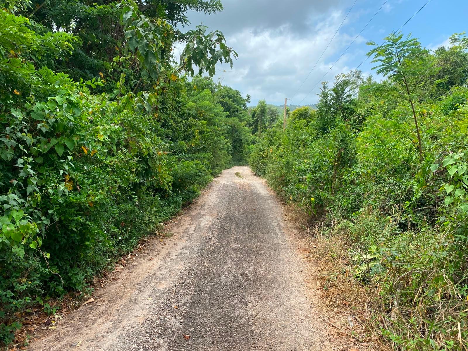 Seventh image of Part of Upper Warminster in Upper Warminister, St. Elizabeth, Jamaica - property is For Sale