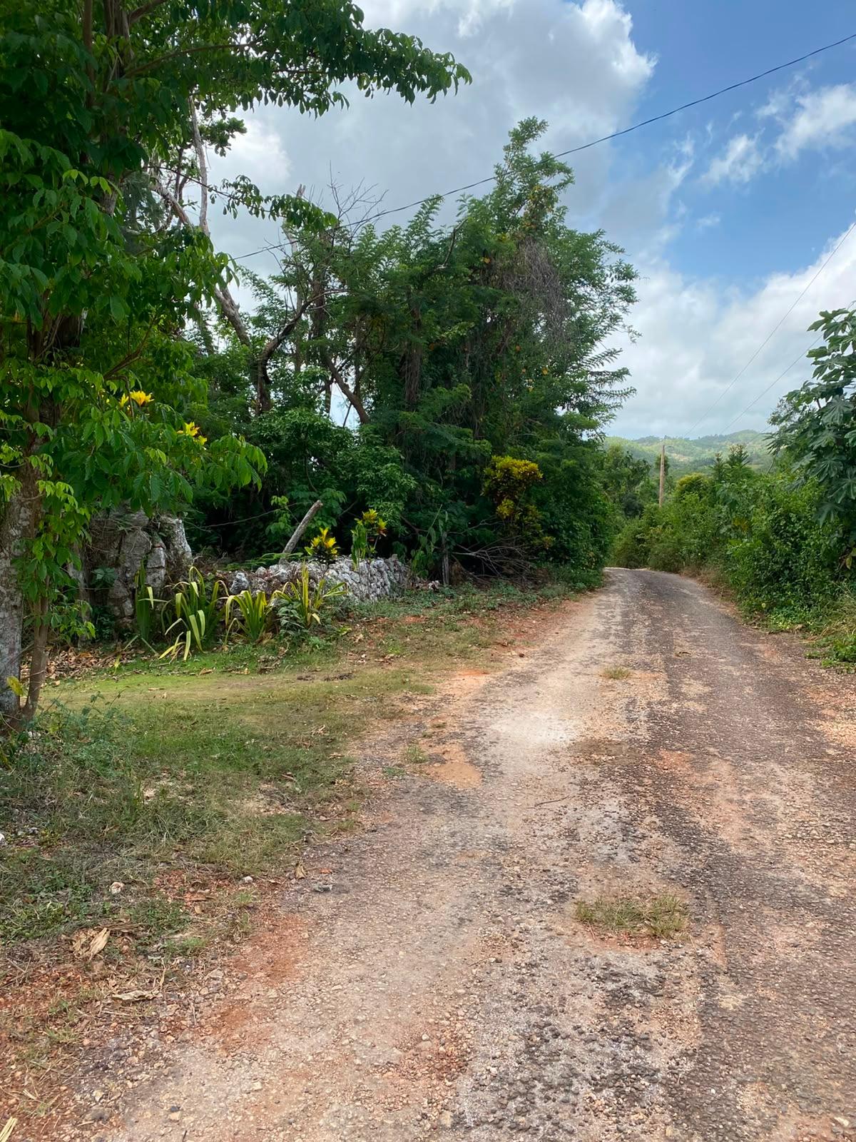 Eighth image of Part of Upper Warminster in Upper Warminister, St. Elizabeth, Jamaica - property is For Sale
