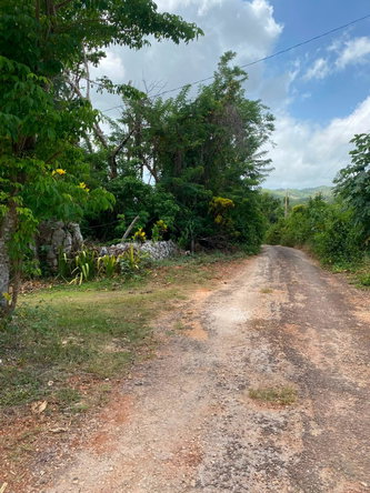 Eighth image of Part of Upper Warminster in Upper Warminister, St. Elizabeth, Jamaica - property is For Sale