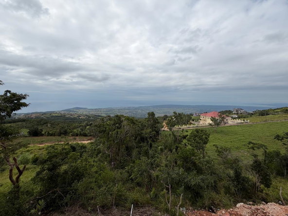 Eighteenth image of Lot 6- Potsdam Subdivision, Munr in Potsdam, St. Elizabeth, Jamaica - property is For Sale