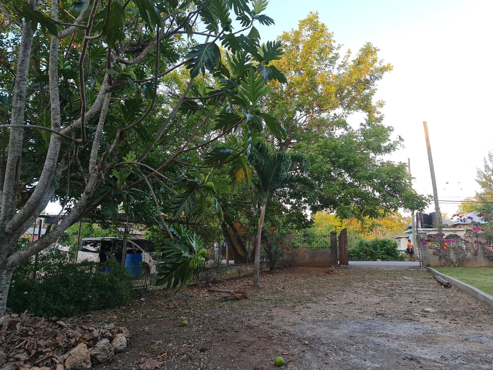 Nineteenth image of Broughton Little London in Little London, Westmoreland, Jamaica - property is For Sale