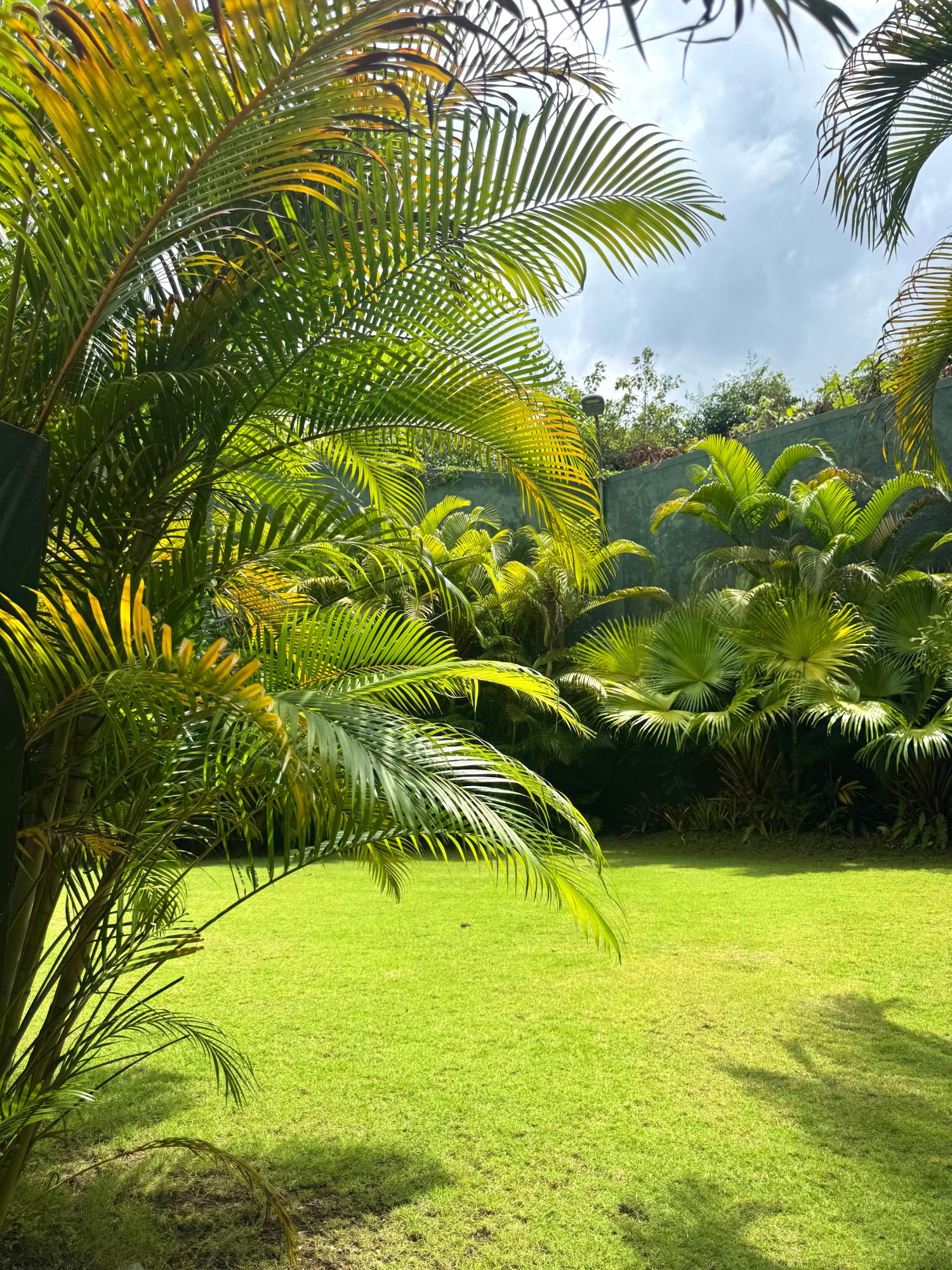 Nineteenth image of 10-238 Mannings Hill Road in KINGSTON, Kingston, Jamaica - property is For Rent