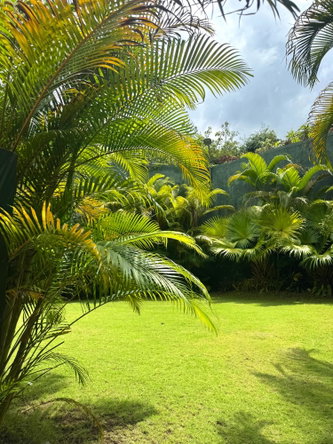 Nineteenth image of 10-238 Mannings Hill Road in KINGSTON, Kingston, Jamaica - property is For Rent