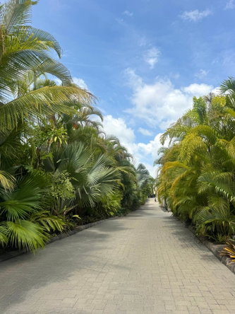 Second image of 10-238 Mannings Hill Road in KINGSTON, Kingston, Jamaica - property is For Rent