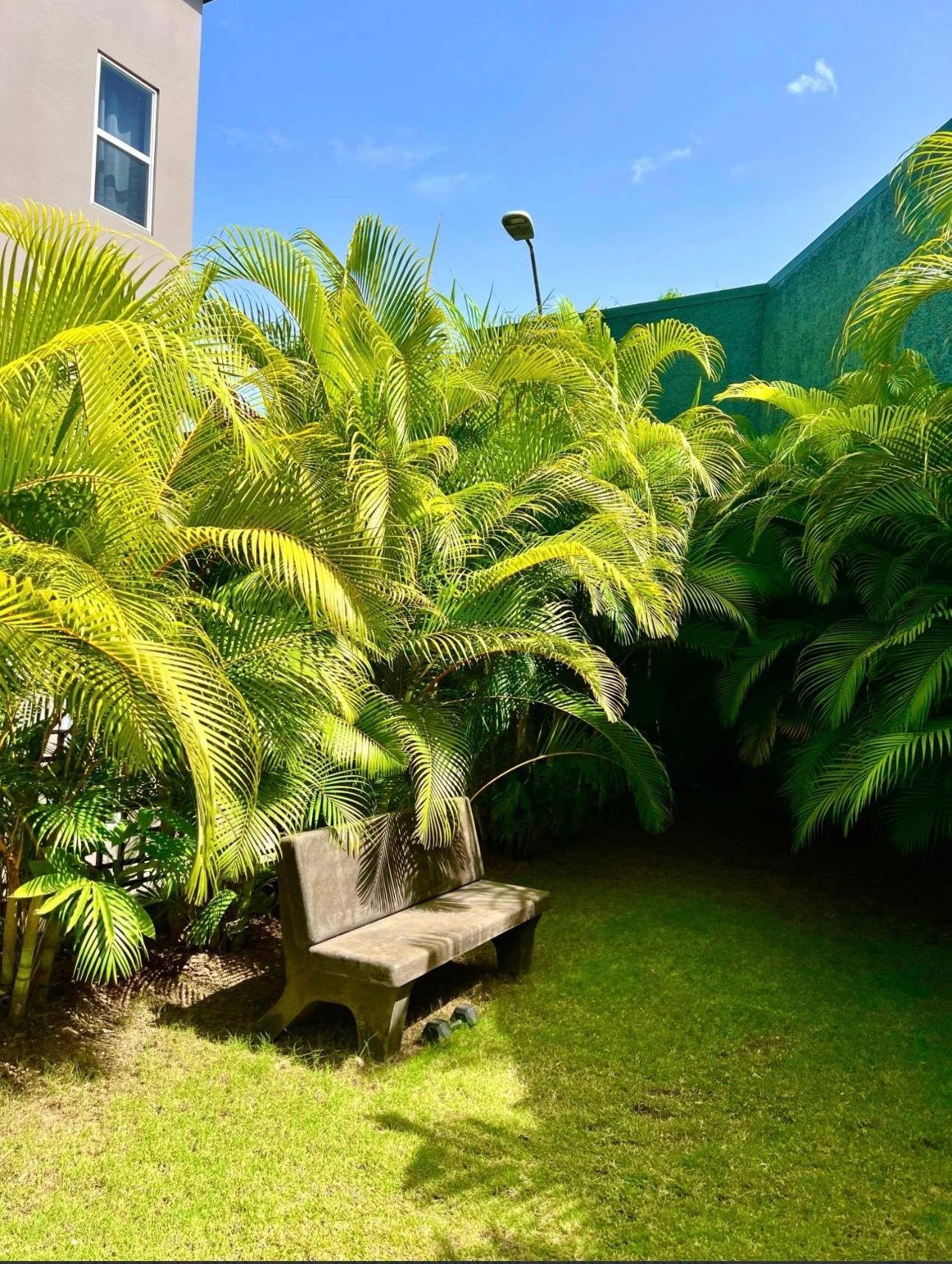 Thirtieth image of 10-238 Mannings Hill Road in KINGSTON, Kingston, Jamaica - property is For Rent