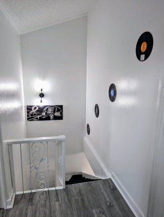 Fifteenth image of 14 Surbiton Avenue in Kingston 10, St. Andrew, Jamaica - property is For Sale