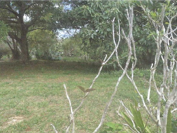 First image of 192 Portview Heights, Inglesi in Mandeville, Manchester, Jamaica - property is For Sale