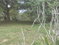 First image of 192 Portview Heights, Inglesi in Mandeville, Manchester, Jamaica - property is For Sale