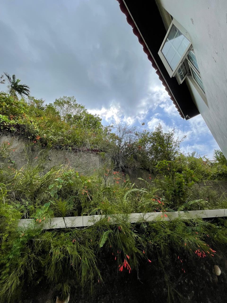 Twentieth image of 2 Orange Avenue, Mandeville in KENDAL, Manchester, Jamaica - property is For Sale