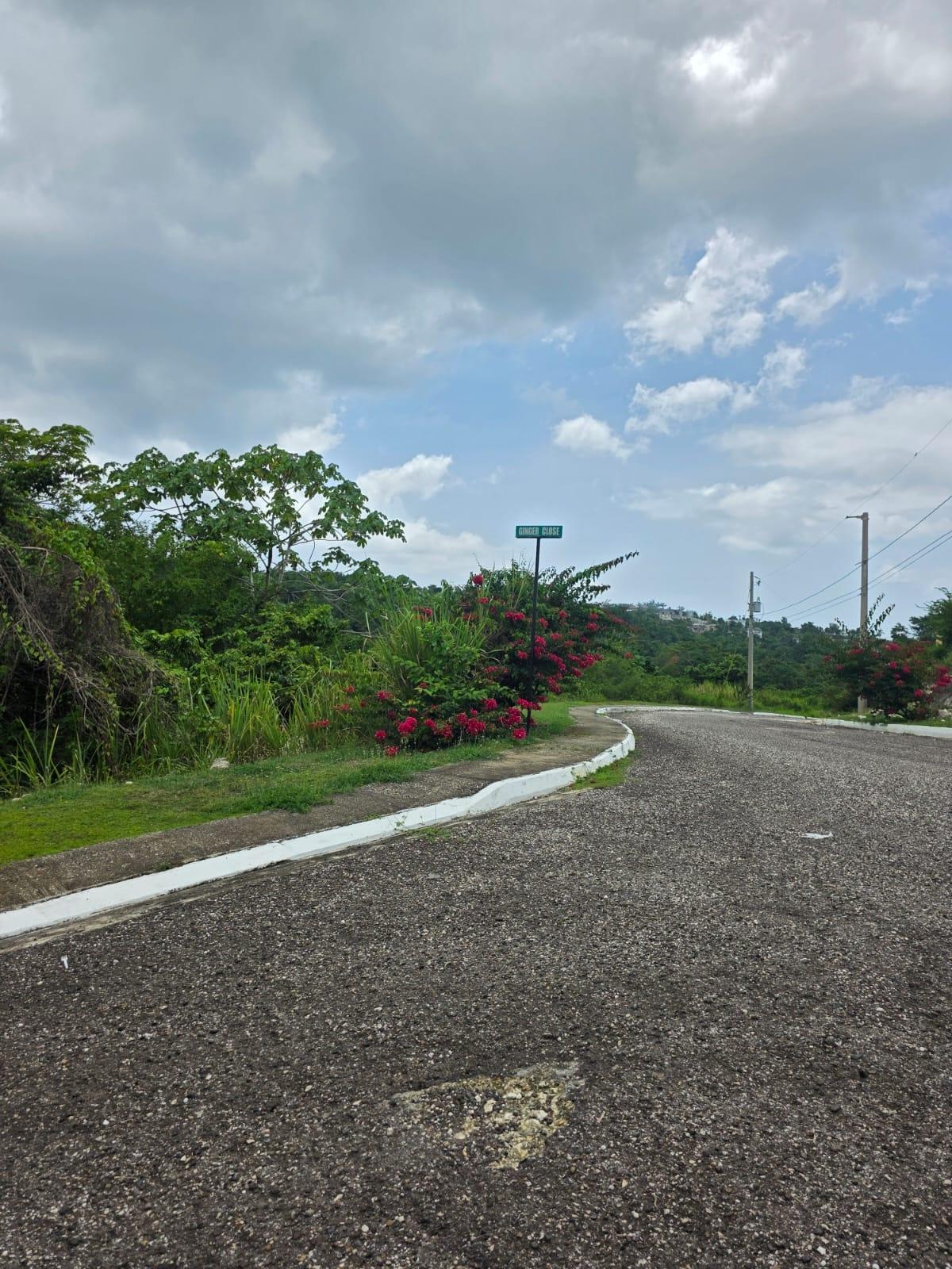 Third image of Lot#42 Negril Estate in Negril, Westmoreland, Jamaica - property is For Sale