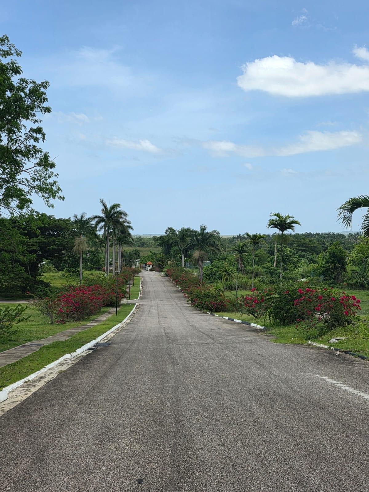 Fourth image of Lot#42 Negril Estate in Negril, Westmoreland, Jamaica - property is For Sale