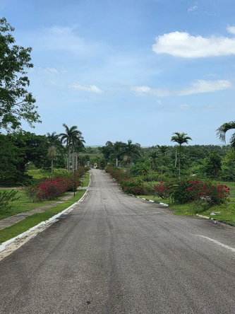 Seventh image of Lot#42 Negril Estate in Negril, Westmoreland, Jamaica - property is For Sale