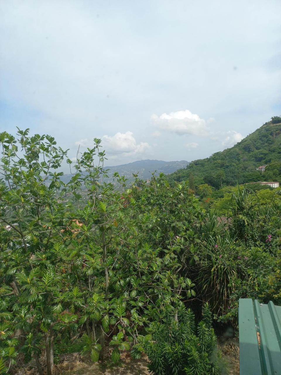 First image of Lot 6 Harriman Close, Jacks Hil in Kingston 6, St. Andrew, Jamaica - property is For Rent