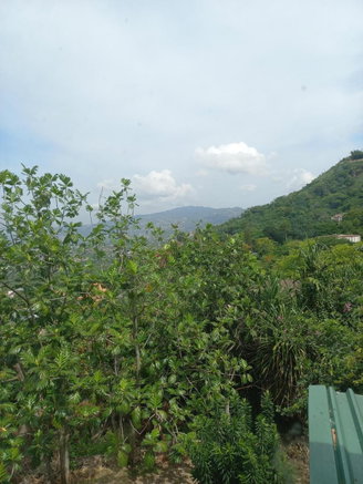First image of Lot 6 Harriman Close, Jacks Hil in Kingston 6, St. Andrew, Jamaica - property is For Rent