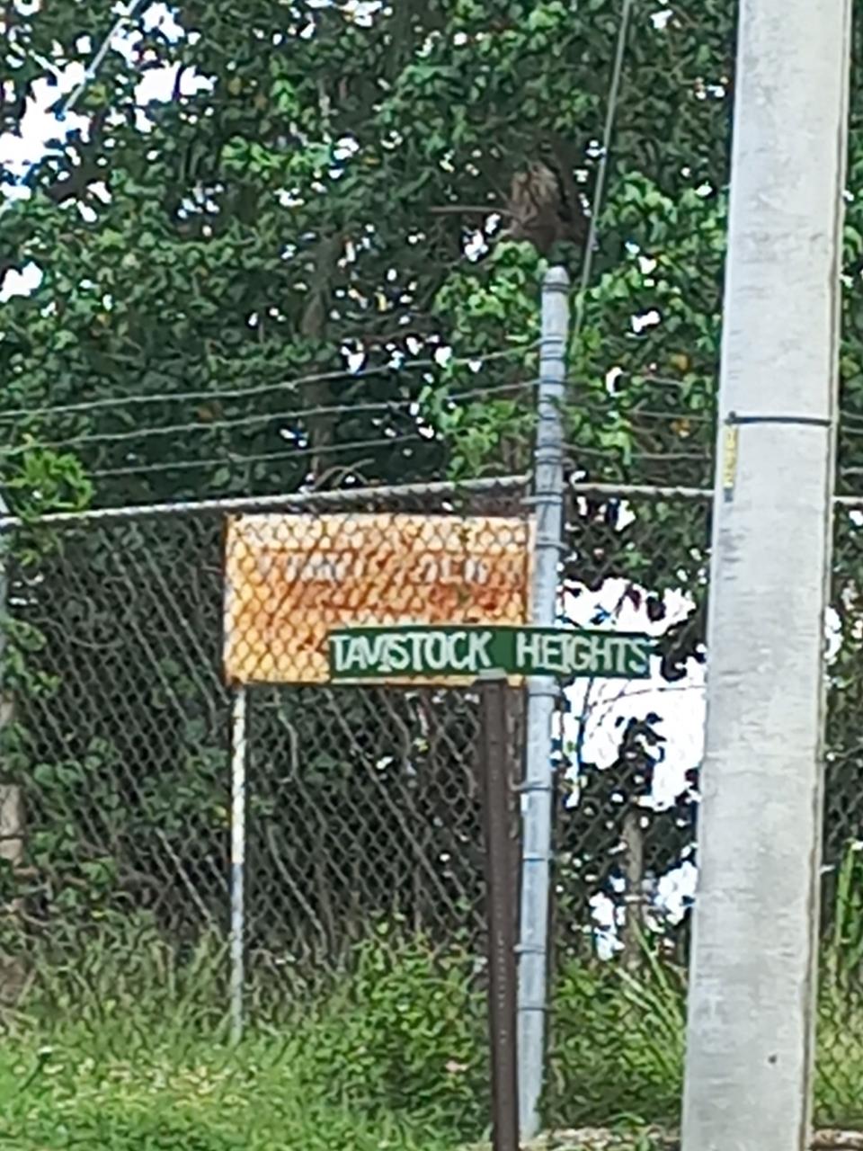 Twenty-Sixth image of Lot 6 Harriman Close, Jacks Hil in Kingston 6, St. Andrew, Jamaica - property is For Rent