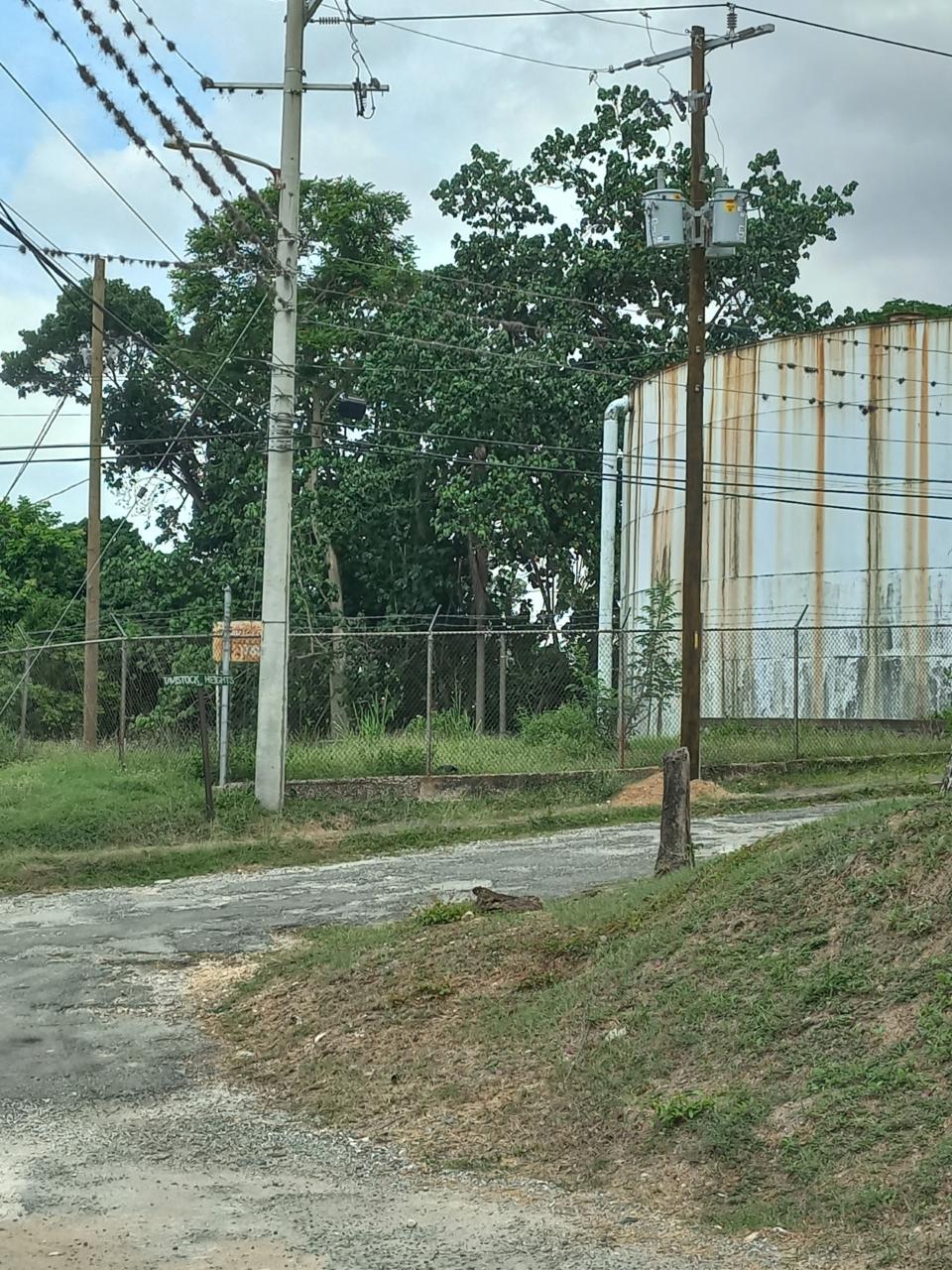 Twenty-Seventh image of Lot 6 Harriman Close, Jacks Hil in Kingston 6, St. Andrew, Jamaica - property is For Rent