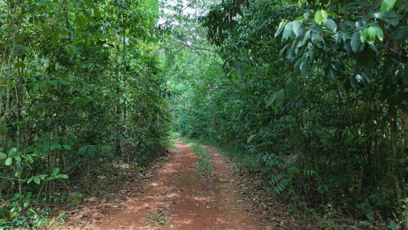 Second image of Lot-244 Land Part of Barry & Lloy in Top Mountain, St. Catherine, Jamaica - property is For Sale