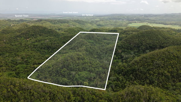 Sixth image of Lot-244 Land Part of Barry & Lloy in Top Mountain, St. Catherine, Jamaica - property is For Sale