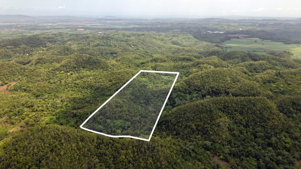 Seventh image of Lot-244 Land Part of Barry & Lloy in Top Mountain, St. Catherine, Jamaica - property is For Sale
