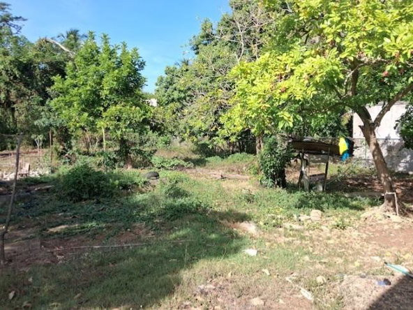Sixth image of No. 23 Lewis Street, Weston Park in Weston Park, Clarendon, Jamaica - property is For Sale