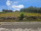 First image of Lot 13 Potsdam in Malvern, St. Elizabeth, Jamaica - property is For Sale