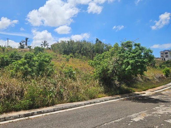 Fourth image of Lot 13 Potsdam in Malvern, St. Elizabeth, Jamaica - property is For Sale