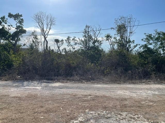 Second image of 433 Calabash Way, Duncans Bay in Duncans, Trelawny, Jamaica - property is For Sale