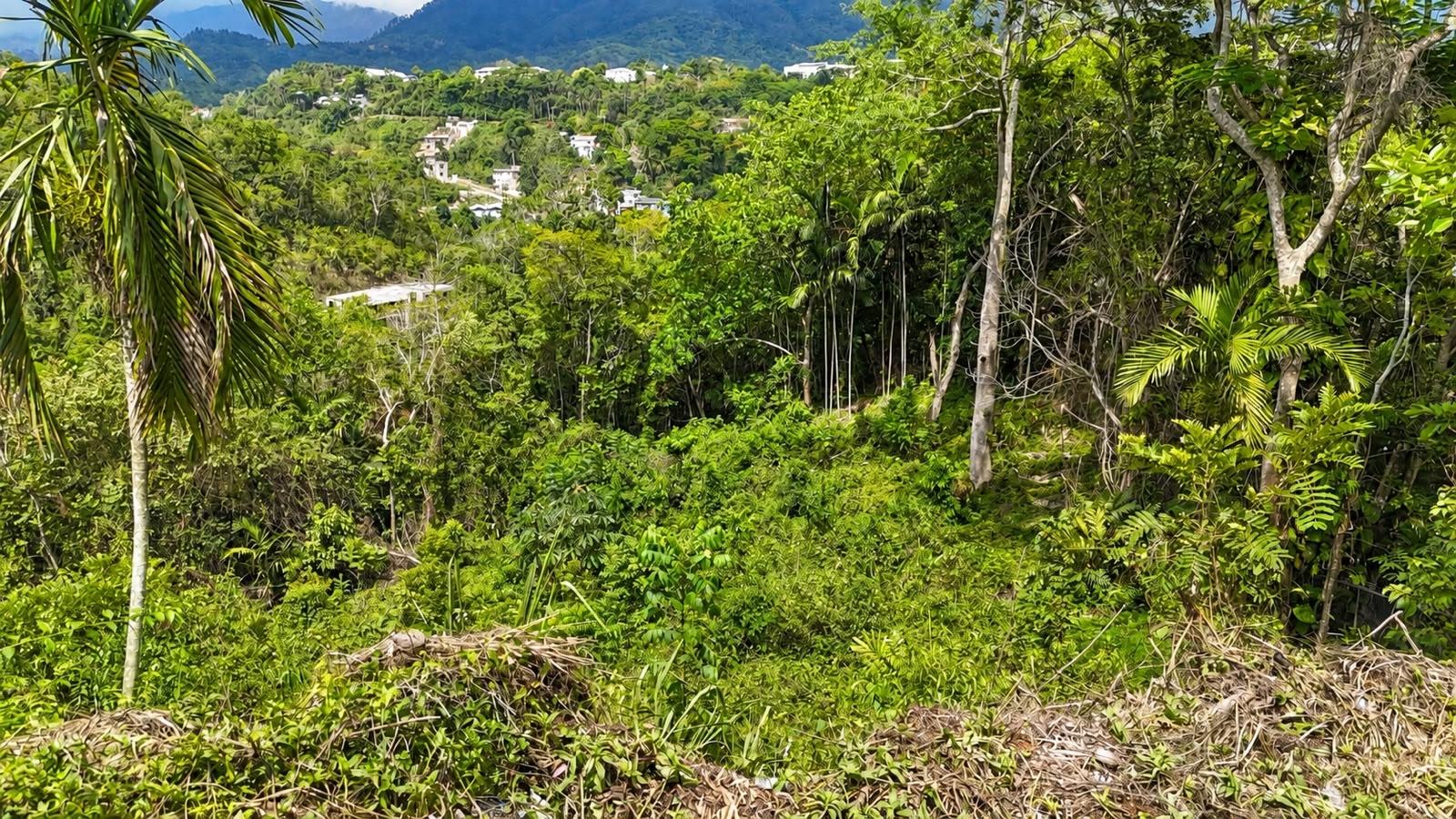 Seventh image of 27 Wireless Rd, Stony Hill in Stony Hill P.O., St. Andrew, Jamaica - property is For Sale