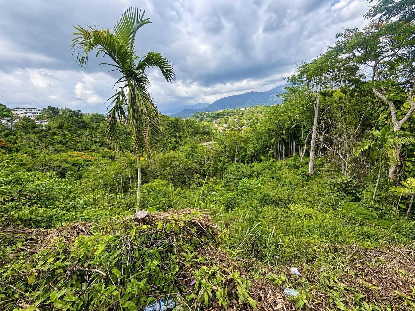 Eighth image of 27 Wireless Rd, Stony Hill in Stony Hill P.O., St. Andrew, Jamaica - property is For Sale