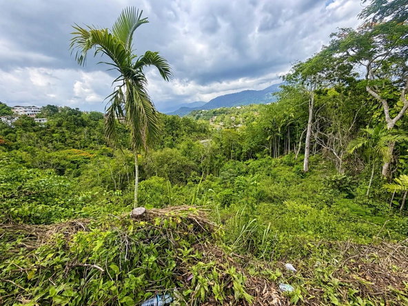 Eighth image of 27 Wireless Rd, Stony Hill in Stony Hill P.O., St. Andrew, Jamaica - property is For Sale