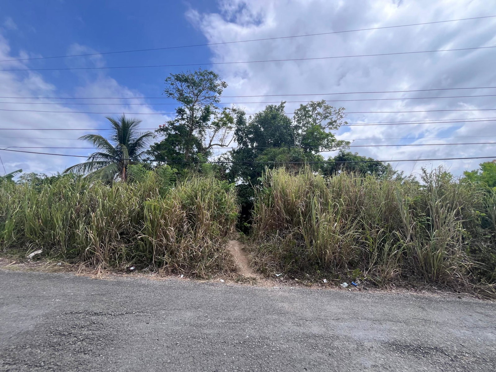 First image of Lot 250- Nutfield Islington st Mar in Islington, St. Mary, Jamaica - property is For Sale