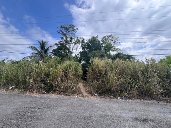 First image of Lot 250- Nutfield Islington st Mar in Islington, St. Mary, Jamaica - property is For Sale