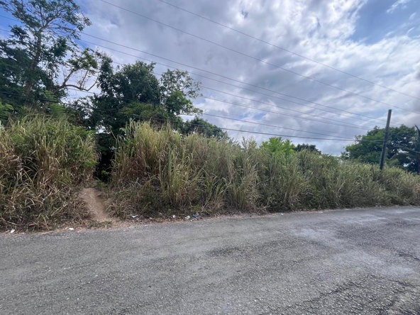 Second image of Lot 250- Nutfield Islington st Mar in Islington, St. Mary, Jamaica - property is For Sale