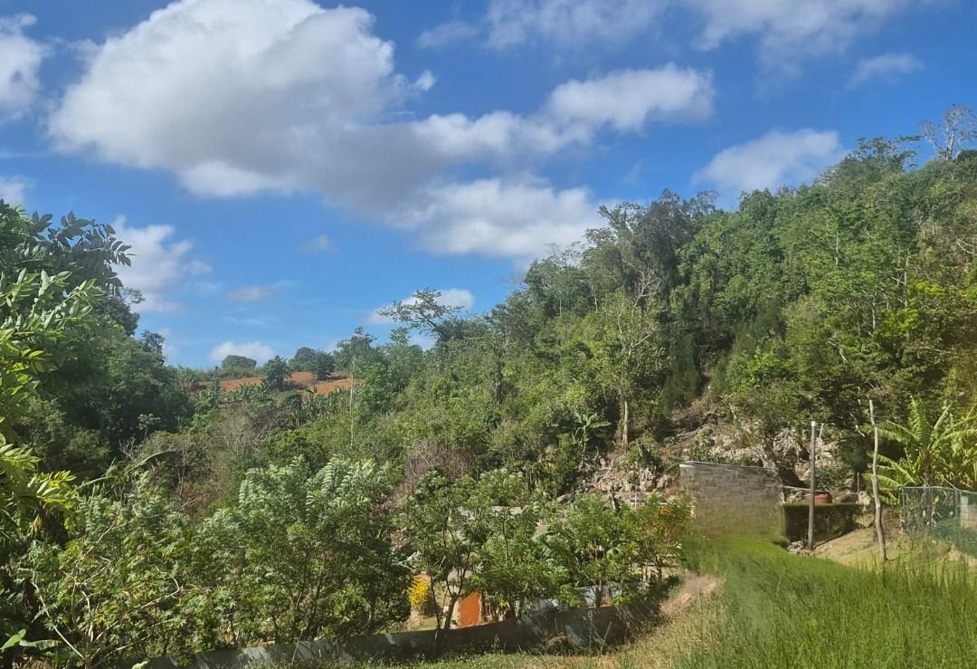 Third image of Mike Town Manchester in Mike Town, Manchester, Jamaica - property is For Sale