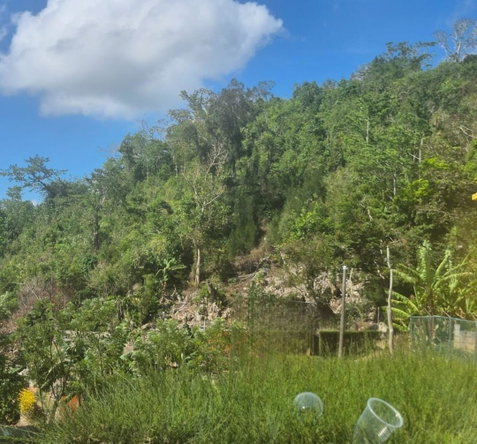 Fourth image of Mike Town Manchester in Mike Town, Manchester, Jamaica - property is For Sale