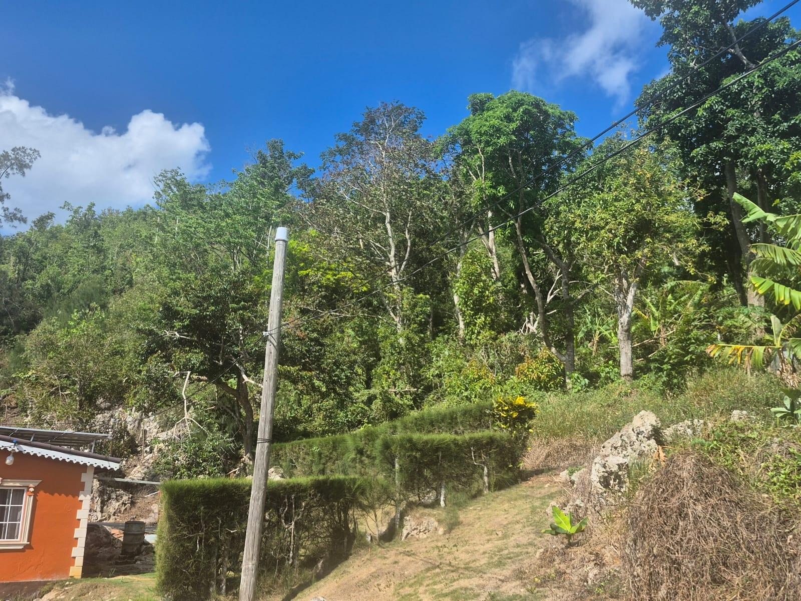 Fifth image of Mike Town Manchester in Mike Town, Manchester, Jamaica - property is For Sale