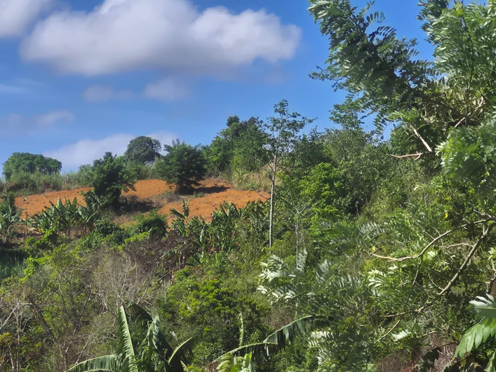 Sixth image of Mike Town Manchester in Mike Town, Manchester, Jamaica - property is For Sale