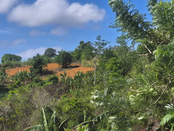 Sixth image of Mike Town Manchester in Mike Town, Manchester, Jamaica - property is For Sale