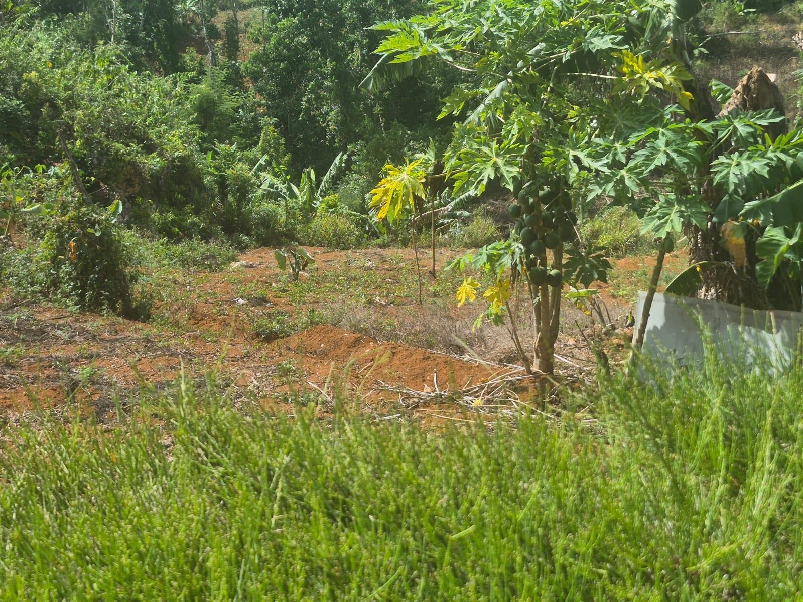 Seventh image of Mike Town Manchester in Mike Town, Manchester, Jamaica - property is For Sale
