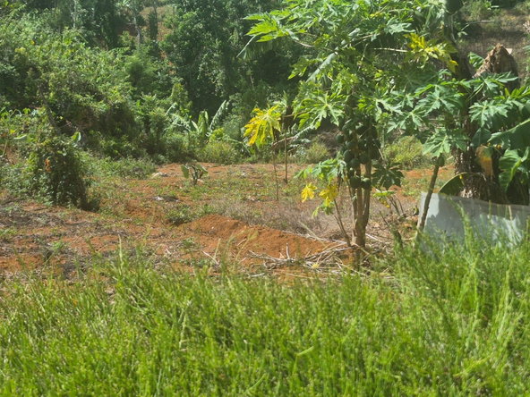 Seventh image of Mike Town Manchester in Mike Town, Manchester, Jamaica - property is For Sale