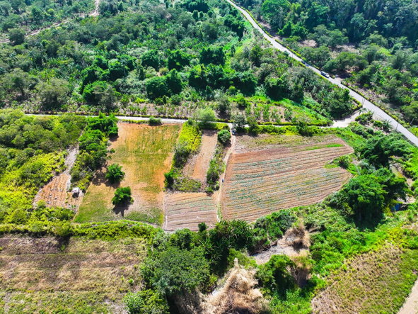 Second image of Lot 58 Cave Valley, St. Ann in Cave Valley, St. Ann, Jamaica - property is For Sale
