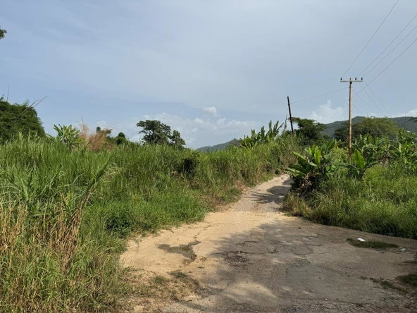 Twenty-First image of Lot 58 Cave Valley, St. Ann in Cave Valley, St. Ann, Jamaica - property is For Sale